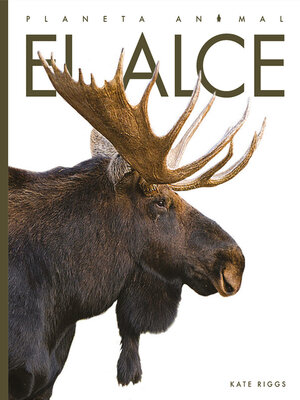 cover image of El alce